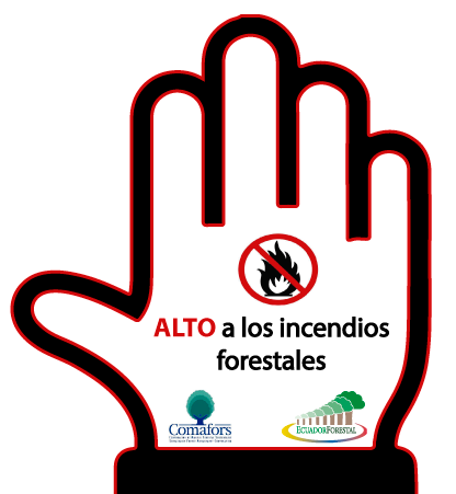 La Corporación de Manejo Forestal Sustentable lanza campaña de: “Prevención de incendios forestales”