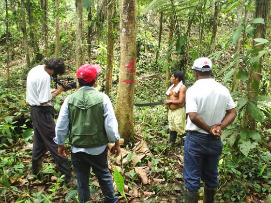 Manejo sustentable del bosque secundario en el norte de Esmeraldas