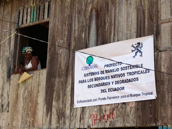 Sistemas de Manejo sostenible para los bosques nativos tropicales secundarios y degradados del Ecuador