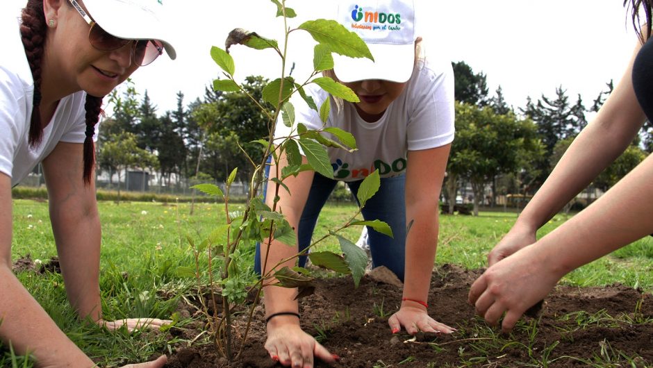 La Corporación Maresa con la colaboración de Corporación de Manejo Forestal Sustentable, sembraron 250 árboles en el DMQ