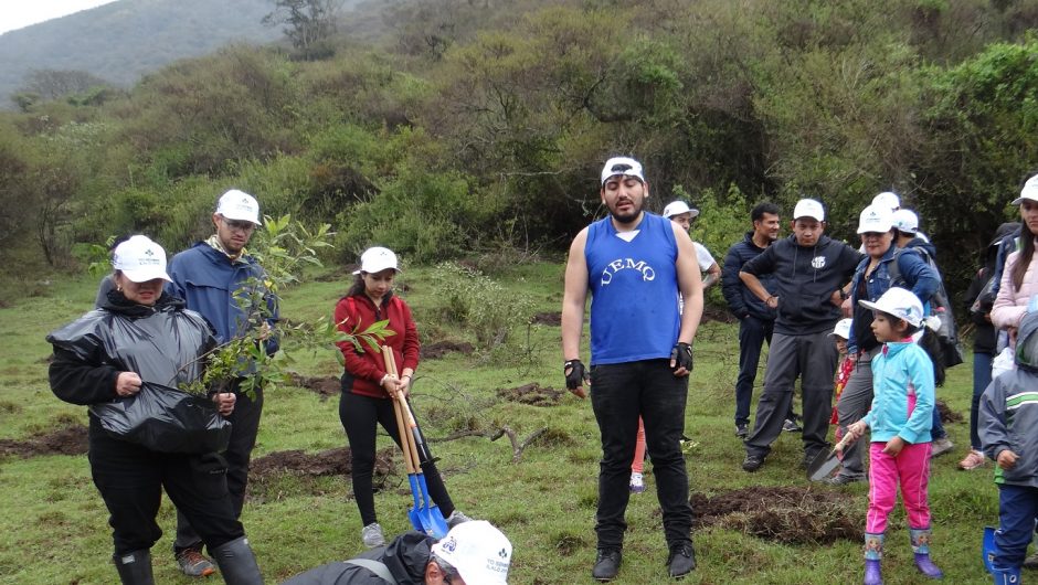 Se realizó con éxito la primera jornada de plantación en el volcán Ilaló