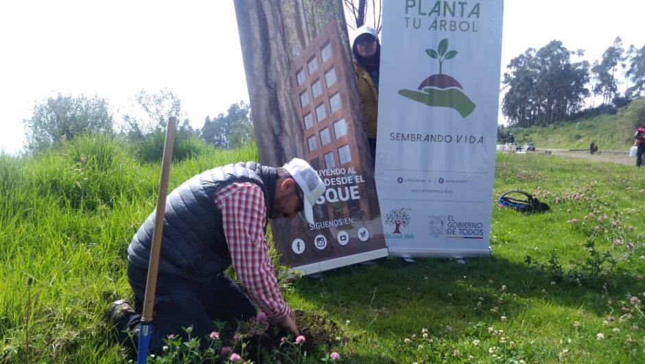 300 árboles nativos fueron plantados para la restauración ecológica de la Carita de Dios